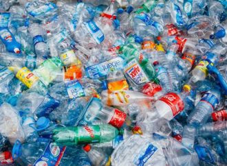 Ladakh bans single-use plastics, littering