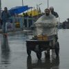 Cool spell sweeps Kashmir after rains, flood risks persist