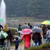 J&K braces for more heavy rain