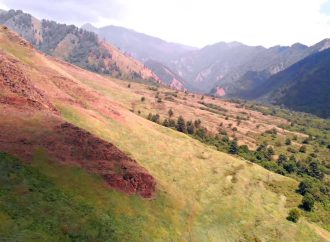 1178 Hectares Gone