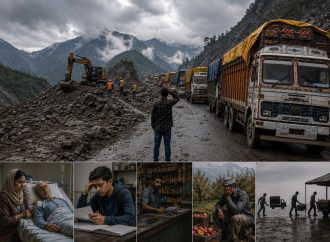 Lifeline In Limbo